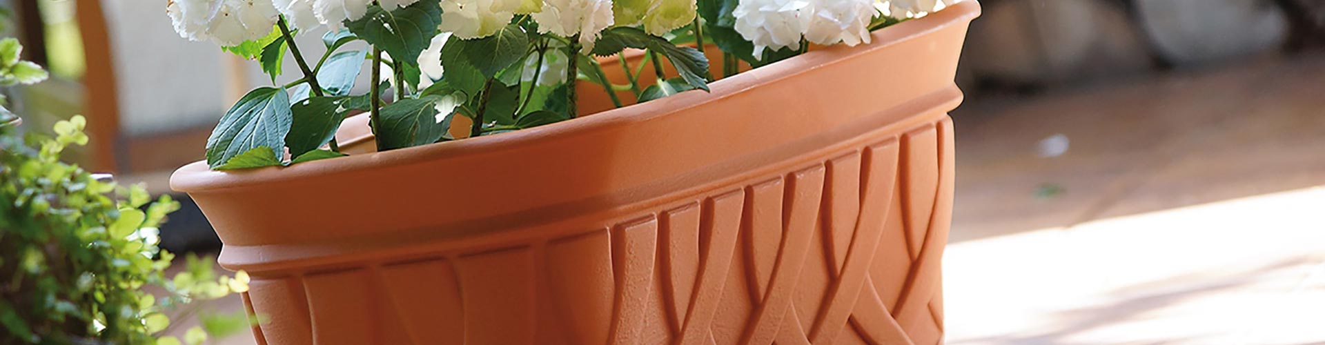Bepflanzter Terracotta-Pflanzkasten aus dem Sortiment von Terracotta Magyarország